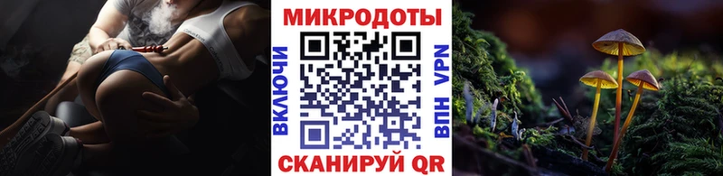 Галлюциногенные грибы прущие грибы  Касли 